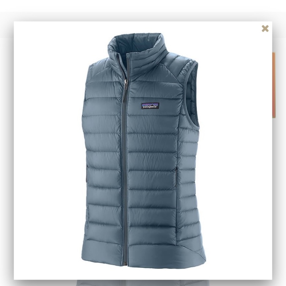 NWT Patagonia Women’s down sweater vest - light plume grey
